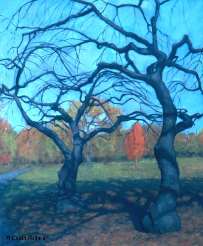 3 trees, late autumn