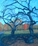 3 trees, late autumn